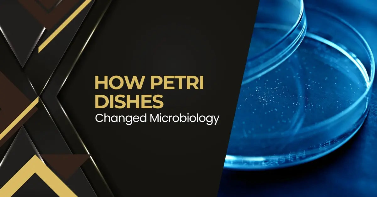 Petri dishes transformed microbiology research and modern medical science