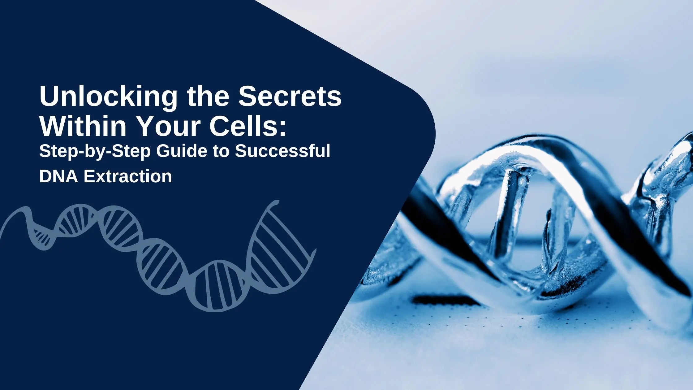 Unlocking the Secrets Within Your Cells: A Step-by-Step Guide to ...