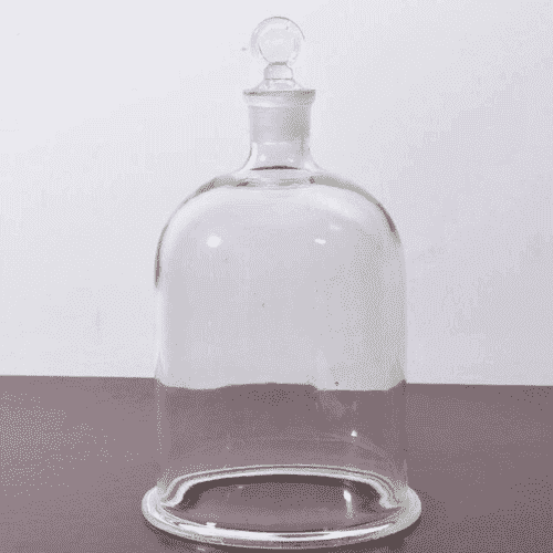 Bell Jar With Glass Stopper
