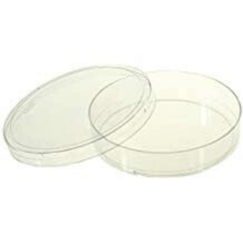 Petri Dishes Cell Culture