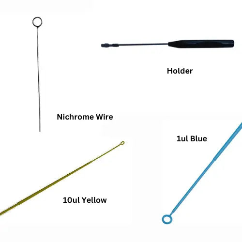 Inoculating Loop | Lab Consumables | Science Equip AU
