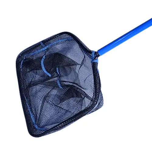 Long Handle Pool Net Long Net With Handle | Lab Equipment | Consumables | Science Equip AU
