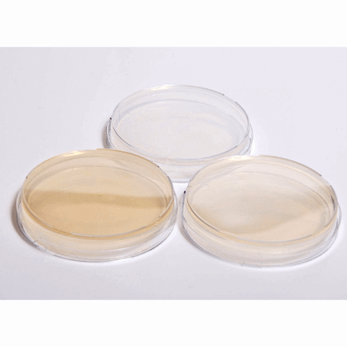 Petri Dish Polystyrene