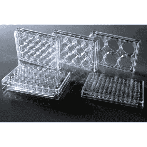 Cell Culture Plate Well Sterile