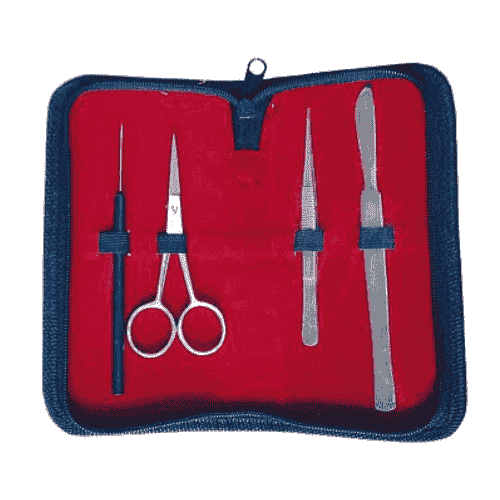 Dissecting Instrument Set of 4