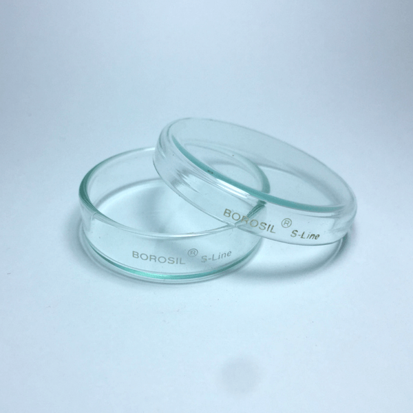 Petri Dish Borosilicate Glass